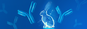 IHC应用兔单克隆抗体开发策略 | 9455澳门新葡萄娱乐场大厅